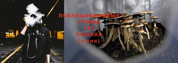 бутират Костерёво