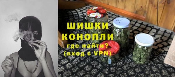 Альфа ПВП Корсаков