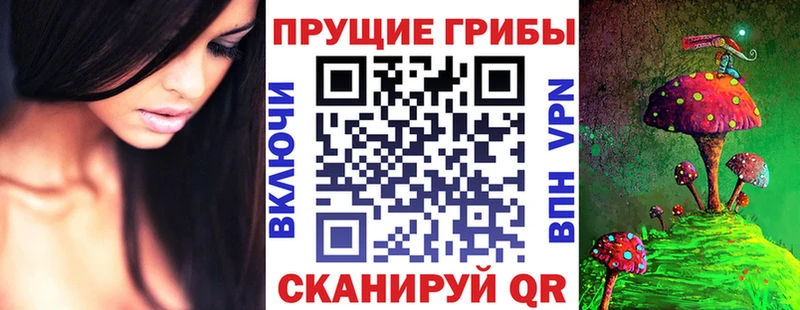 Купить где  Воскресенск  Галлюциногенные грибы мицелий 